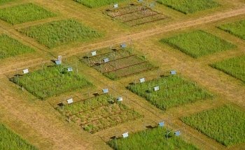 Researchers Discover the Key to Preserve Biodiversity Under Increasing Temperatures