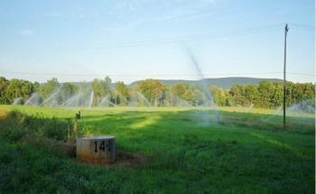 New Research Finds that Soil Could Filter Emerging Contaminants from Wastewater