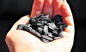 Biochar Could Enhance Crop Growth and Reduce Air Pollution