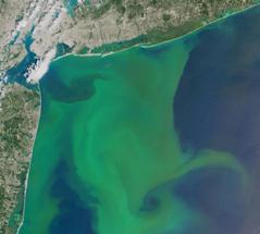 New Study Finds that Increased Precipitation Could Overload Waterways with Excess Nitrogen