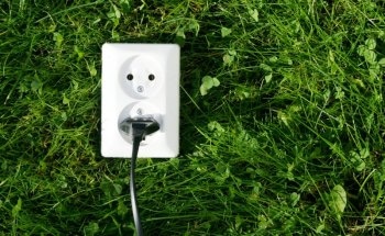 Photosynthesis-Based Discovery Could Pave Way for More Efficient Artificial Solar Cells