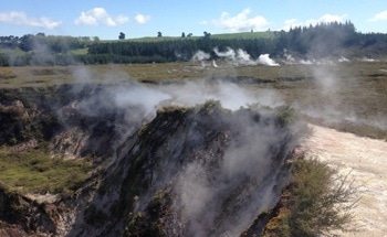 Researchers Use Gas-Guzzling Bacteria to Tackle Methane Emissions