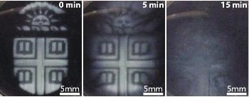 3D-Printed Biomaterials Capable of Making Intricately Patterned Microfluidic Devices