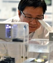 Innovative Bio-Ink Could Speed Up Advances in Regenerative Medicine