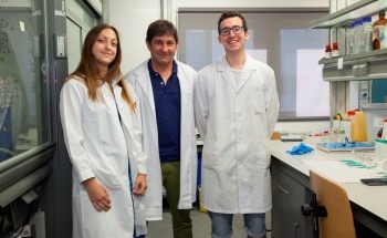 New System for Efficient Production, Storage and Safe Transportation of Hydrogen