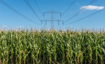 Combining Microbial and Electrochemical Biomass Conversion to Yield Valuable Products