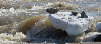 A Combination of Sunlight and Microbes Convert Arctic Carbon into Carbon Dioxide