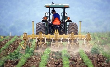 Stanford Study Reveals Soil has Potential to Slow Global Warming