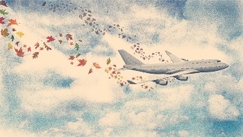 UD Researchers Develop New Processes to Ramp Up Bio-Based Aviation Fuel