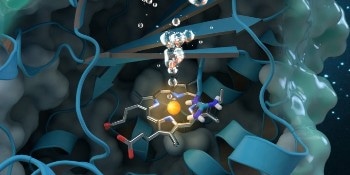 Neutron Analysis of Oxygen-Generating Enzyme for Eco-Friendly Approach to Clean Water