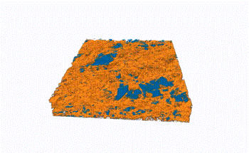 Fuel Cell X-ray Research Reveals Effects of Moisture, Temperature on Performance