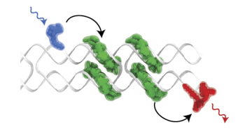 Researchers Explore New Methods to Capitalize on Nature’s Light-Harvesting Secrets