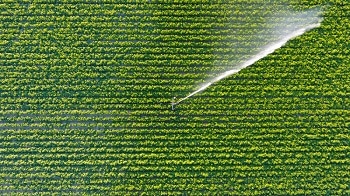 MIT Researchers Release Evaluation of Solar Pumps for Irrigation and Salt Mining in India