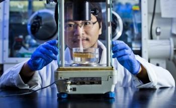 Poplar, Pine Wood Increase the Efficiency of Water-to-Steam Conversion Under Sunlight