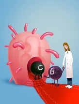 Bacteria Created by Caltech Team can Make Boron-Carbon Bonds