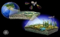 New Look at Ecosystem Connections Through Long-Term Research