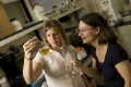 Novel Approach to Remove Harmful Microbes and Viruses from Drinking Water