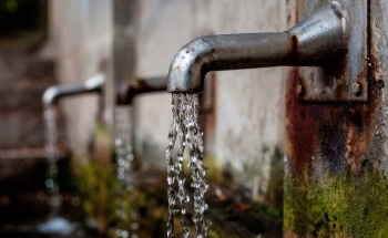 Bio-Material Removes Lead from Contaminated Water