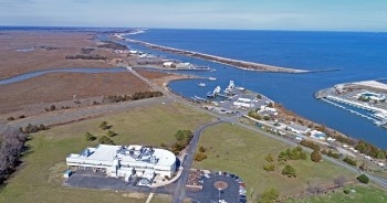 Continental Shelves Become Important Carbon Dioxide Sinks