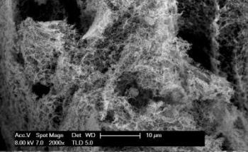 New Technique Could Pave Way for Clean Energy Economy