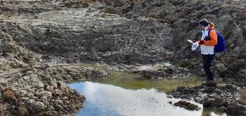 Arctic Ponds Could be Hidden Source of Greenhouse Gas