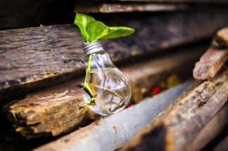 Wastewater Treatment Plants Could Aid Electricity Generation