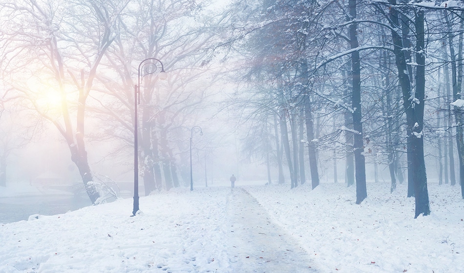 Is the "Beast from the East" a Result of Climate Change?