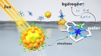 Combining Semiconductor Nanocrystals with Molecular Catalysts to Produce Hydrogen