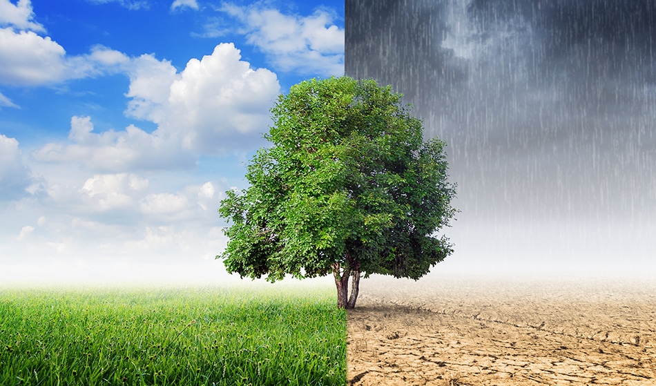 ANU Adopts Leading Role in the Next Global Climate Assessment