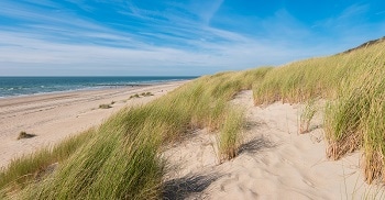 Dune Movement Reveals Global Warming Clues