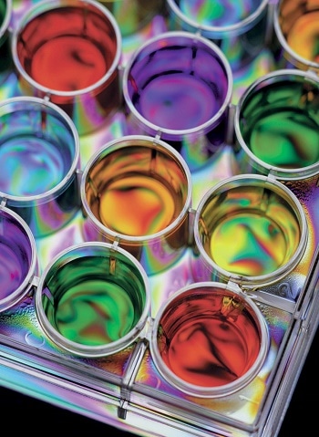 High Performance Filtration System for Paints & Coatings