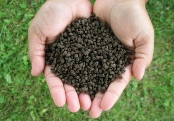 Commercialization of BioEcoSIM Process for Eco-Friendly Treatment of Liquid Manure