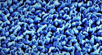 Artificial Photosynthesis Could Lead to Harvesting of Clean Hydrogen Fuel