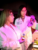 Using Bioengineered Bacteria to Produce Biofuel and Valuable Chemicals from Plant Matter