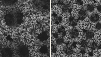 Researchers Develop Technique that Doubles the Conversion of Carbon Dioxide to Ethylene
