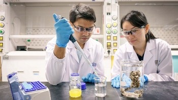 Study Reveals Nanoplastics Consumed by Marine Organisms May Pose Harm to Marine Food Chains