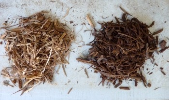 New Steam Drying Technique Could Make Efficient Use of Biomass