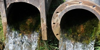 Study Reveals Wastewater Plants Contribute to Microplastics Pollution in UK Rivers