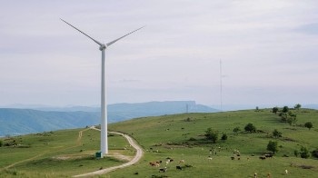 Striking a Balance Between Wind Energy and Biodiversity