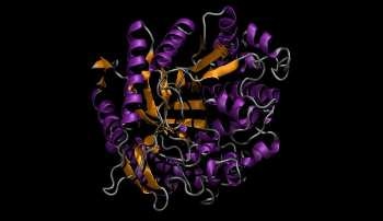 New Enzyme-Based Method for Accelerating Biofuel Production