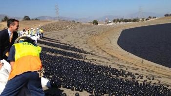 Shade Balls Use More Water Than They Save
