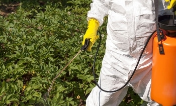 Researchers Address Need to Protect the Earth from Harmful Impacts of Chemicals