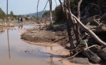 Study Highlights Key Questions to Sustainably Manage the Environmental Risks in Europe