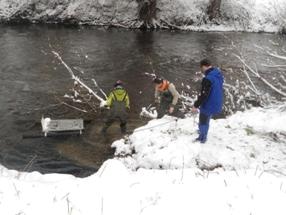 Fourth Purification Stage in Wastewater Treatment Helps Protect Aquatic Organisms