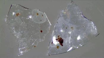 Study Shows Contact Lenses Add to Microplastic Pollution in Waterways