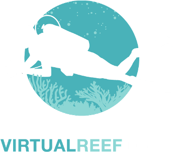 Aussie Citizen Scientists Unite to Help the Great Barrier Reef