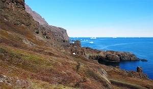 Volatile Organic Compounds from Thawing Permafrost Have Implications on Arctic Climate