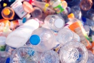 Study Shows Biodegradable Plastic Blends Offer New Possibilities for Disposal