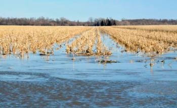 Climate-Induced Soil Changes Could Result in More Erosion and Flash Flooding