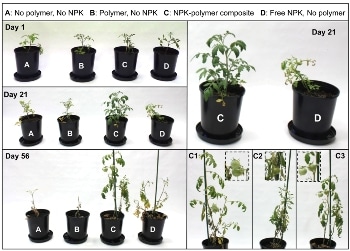Waste Canola Oil Becomes a Key to Improved Fertiliser